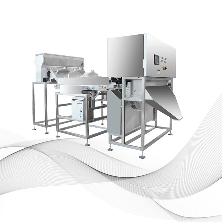 Belt Color Sorting Machine