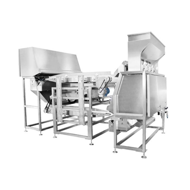Double Layer Belt Plastic Color Sorter Machine