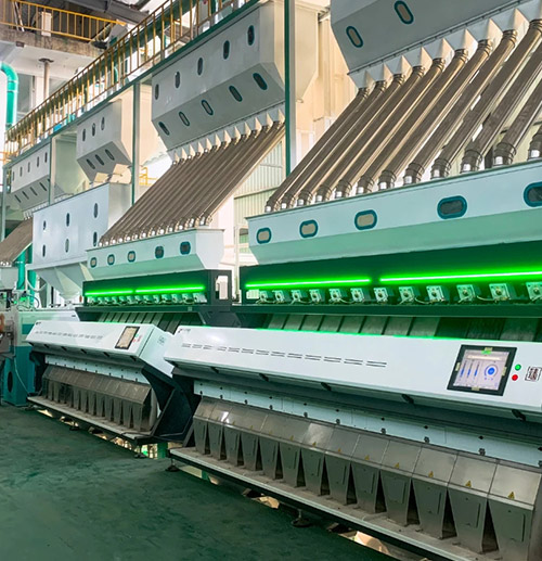 Grain Color Sorter Machines in Ukraine 2017